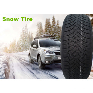 Neumático neumático, neumático de invierno, neumático